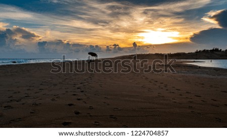 Puri beach at the time of Sunset.