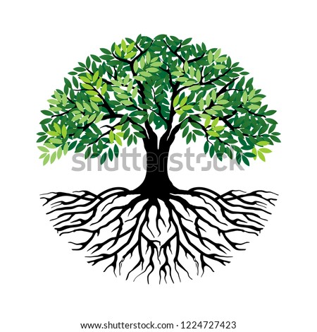 Tree and roots vector, tree with round shape Royalty-Free Stock Photo #1224727423