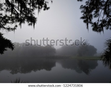 Trees Reflected in Water on Foggy Day