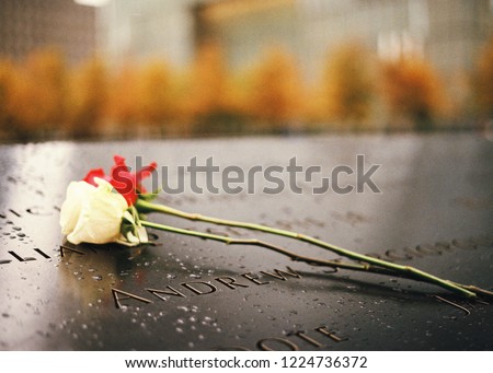 Red and white rose on the 9/11 Memorial north pool , blurry background Royalty-Free Stock Photo #1224736372