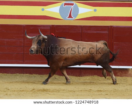 bull fight spanish Royalty-Free Stock Photo #1224748918