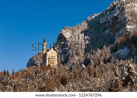 Panoramic view of Neuschwanstein Castle in winter. Germany, Bavaria.