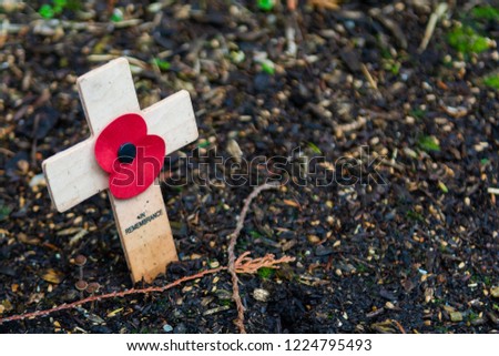 Remberance day cross with poppy to mark anniversary