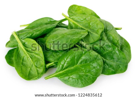 fresh spinach isolated on white background Royalty-Free Stock Photo #1224835612