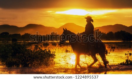 Silhouette the cowboy riding on a mountain with an yellow sky; Concept of friendly  and of summer vacation.