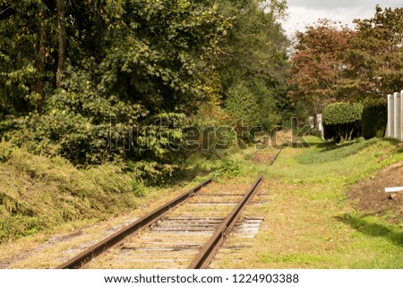 Fall, railroad tracks