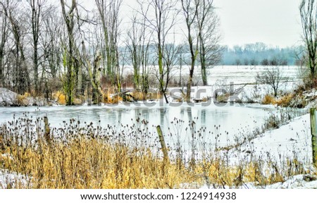 A small frozen lake, beside a farm.
