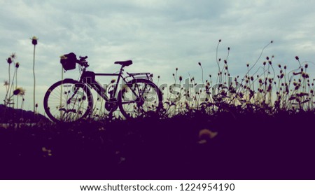 Low angle view of silhouette bicycle and wild flowers with morning sky in vintage tone style