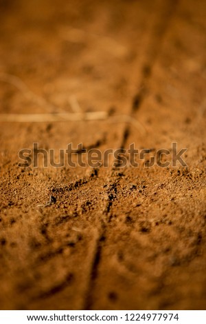 Tire Track on a Brown Dusty Soil