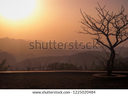 An Isolated tree with no leaves but only branches at sunset timing with mountains at backdrop and dusky sky 