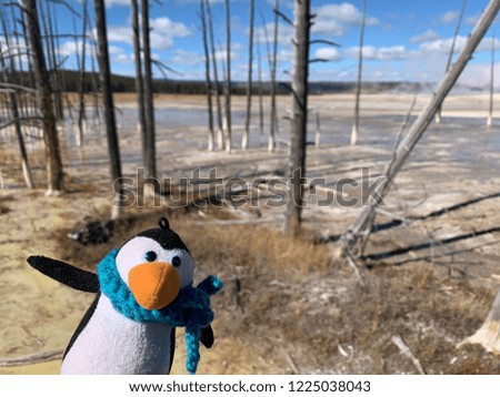 Toy penguin in the yellowstone national park