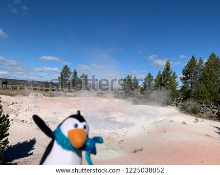 Toy penguin in the yellowstone national park