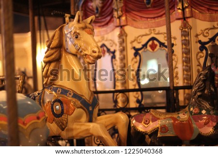 carousel horces in the park at night