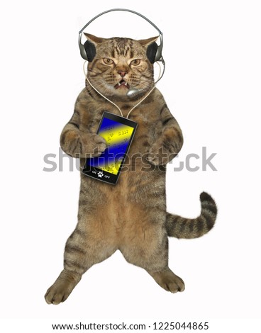 The cat in a headset is listening to music from a smartphone. White background.