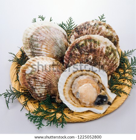 Hotate (Japanese scallop) Royalty-Free Stock Photo #1225052800