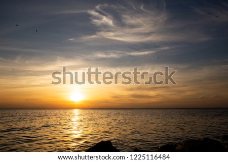 background of sunset on the sea, birds fly among the clouds lit by the rays of the sun, beautiful landscape