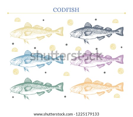 Set of codfish images. Unique hand-drawn silhouettes of codfish+lemon slices and black pepper. Yellow, grey, blue, green, pink, orange. Vector. Isolated on white.