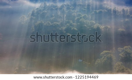 Dense fog and magic light at sunrise with small houses and coffee farm