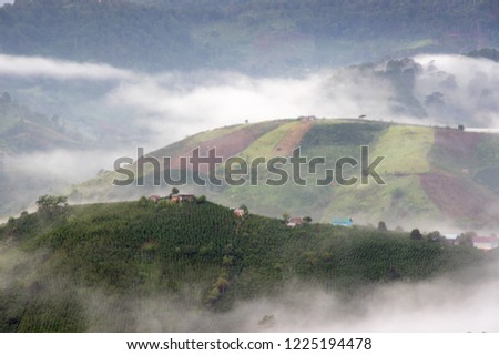 Dense fog and magic light at sunrise with small houses and coffee farm