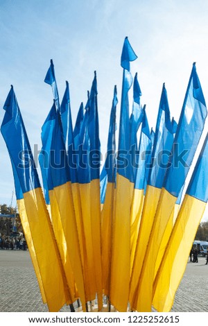 Ukrainian blue and yellow flags in the wind. Against the background of the sky
