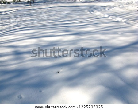 Soft winter snow with shadows.
