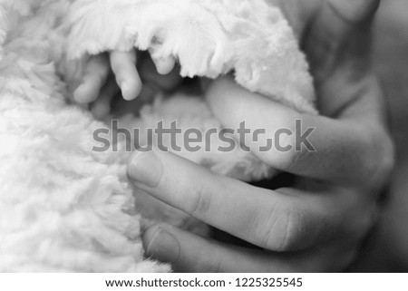 Dad holds the little hand of his baby.
Family happiness, postcard with space for text in focus and blurred autumn background. Black and white.