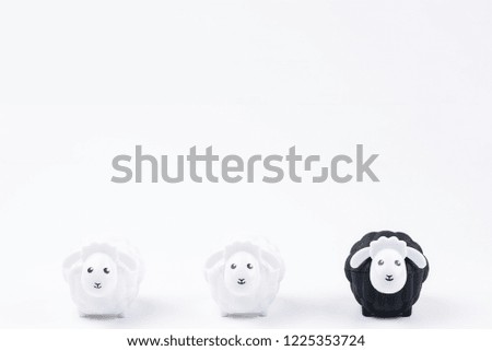 Black sheep doll and White sheep doll isolated on white background with blank for your text