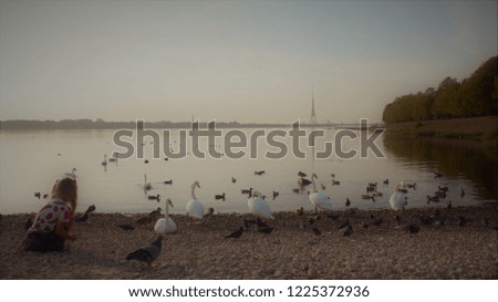 Widescreen picture of girl on the beach feeding swans
