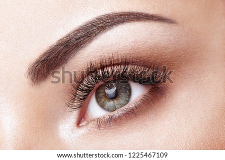 Female Eye with Extreme Long False Eyelashes. Eyelash Extensions. Makeup, Cosmetics, Beauty. Close up, Macro Royalty-Free Stock Photo #1225467109