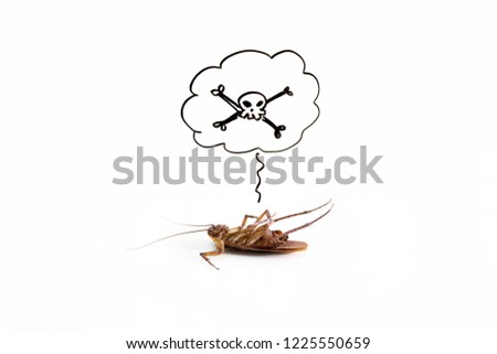 Dead cockroach on floor with drawing of dead sign