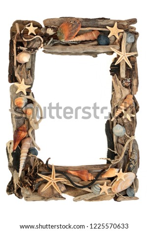 Driftwood and seashell abstract border on white background with copy space.