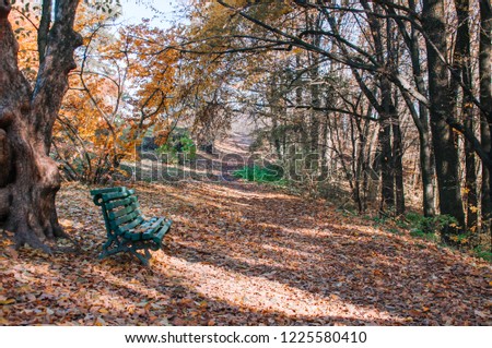 Green Wooden Bench Among Autumn Leaves