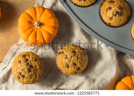 Sweet Homemade Chocolate Pumpkin Muffins Ready to Eat