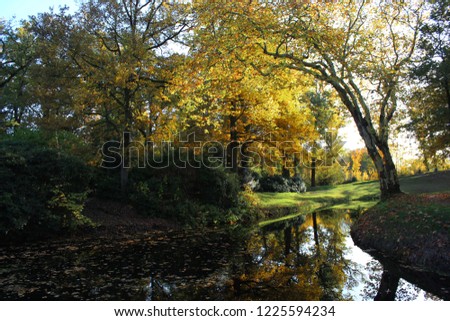 Autumn scene. Sunny landscape with small pond in the park.