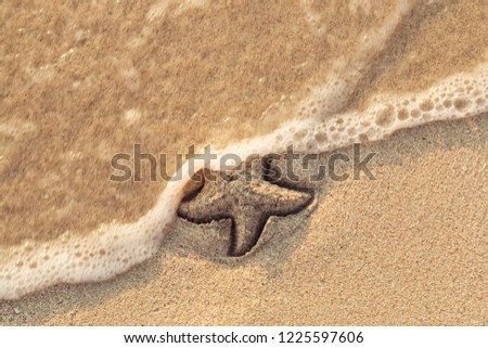 Starfish drawn on the beach sand being washed away by a wave. Foaming sea wave coming to wash a picture on wet yellow beach sand. Holiday and vocation message. View from above. Copy space.