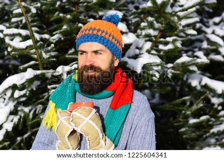 Man wears knitted hat, scarf and warm gloves. Macho with beard and mustache freeze on winter day. Guy holds cup or mug with firtrees covered with snow on background. Warming beverage concept.