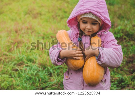 Playing outdoors cute little girl holding a pumpkin. Harvest of pumpkins, autumn in the garden, the lovely girl and large pumpkins.