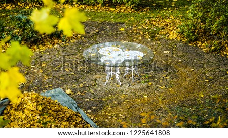 rural wooden Empty Peaceful Park classical white table.  autumn blurred and fallen leaves background. autumn season in Estonia.  Toned picture. Copy space for design. Close up of yellow maple leaves