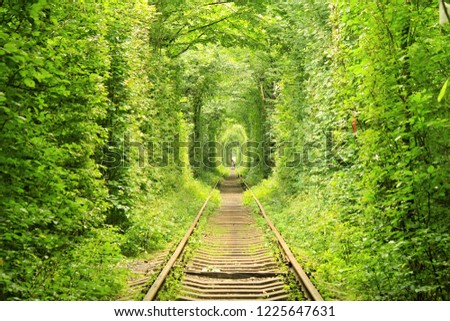 Klevan, Ukraine, 2018: Tunnel of Love in the northern Ukraine in summer, side railway track is a beautiful and magic place surrounded by trees visited by lovers Royalty-Free Stock Photo #1225647631