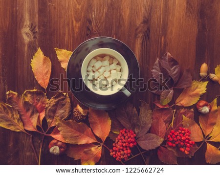 bright red and colorful leaves of wild grapes on the wooden background. autumn season. background texture of leaves of wild grapes. autumn background top view cup with cocoa and marshmallows