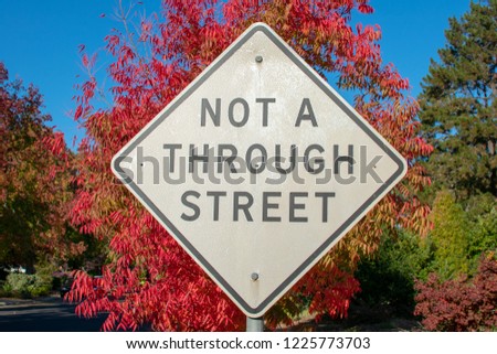 White 'not a through street' traffic sign. Red autumn fall tree on sunny day with blue sky in background