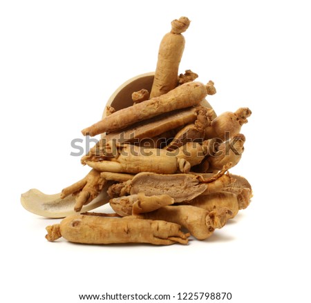 Group of Ginseng Root 