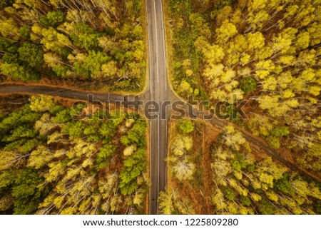The road through the autumn forest, aerial view