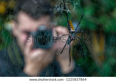 Man taking picture of spider