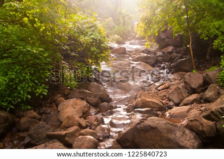 Forest stream with falls, Nature landscape