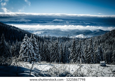 Winter rime and snow covered landscape Carpathian Mountains, Ukraine