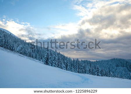 Winter rime and snow covered landscape Carpathian Mountains, Ukraine