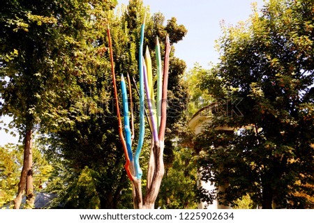 Colored tree branches was created as a multicolored pencils. Tree is used as a abstract art