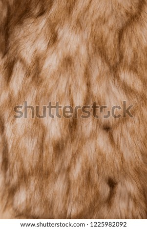 fur female jacket clothes texture 


