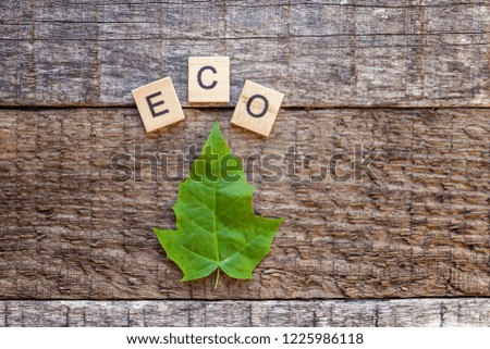 Inscription ECO letters word and maple leaf on old rustic wooden backdrop. Eco Village abstract environmental background. Nature protection energy saving ecology concept. Flat lay top view copy space